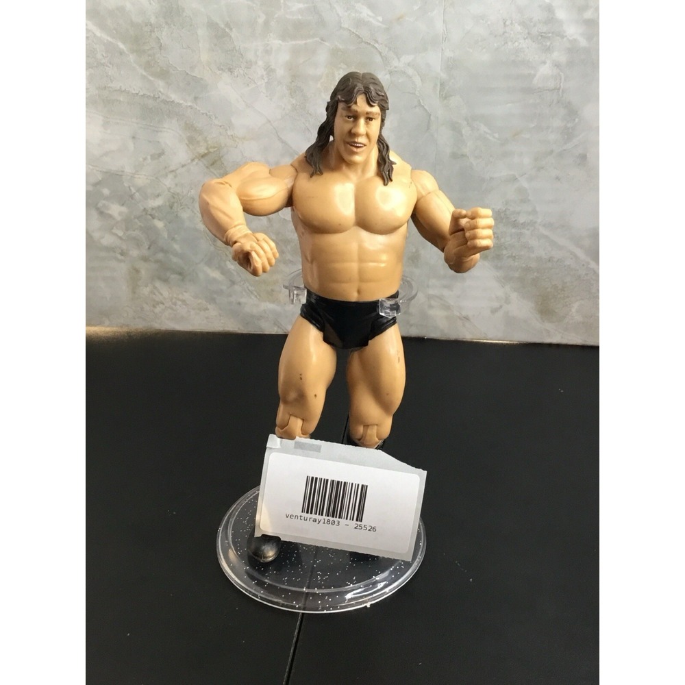 WWE Jakks Classic Superstars BamBam Terry Gordy Fabulous Freebirds No Vest‎